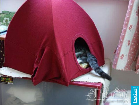 cat-tent-with-old-t-shirt-4